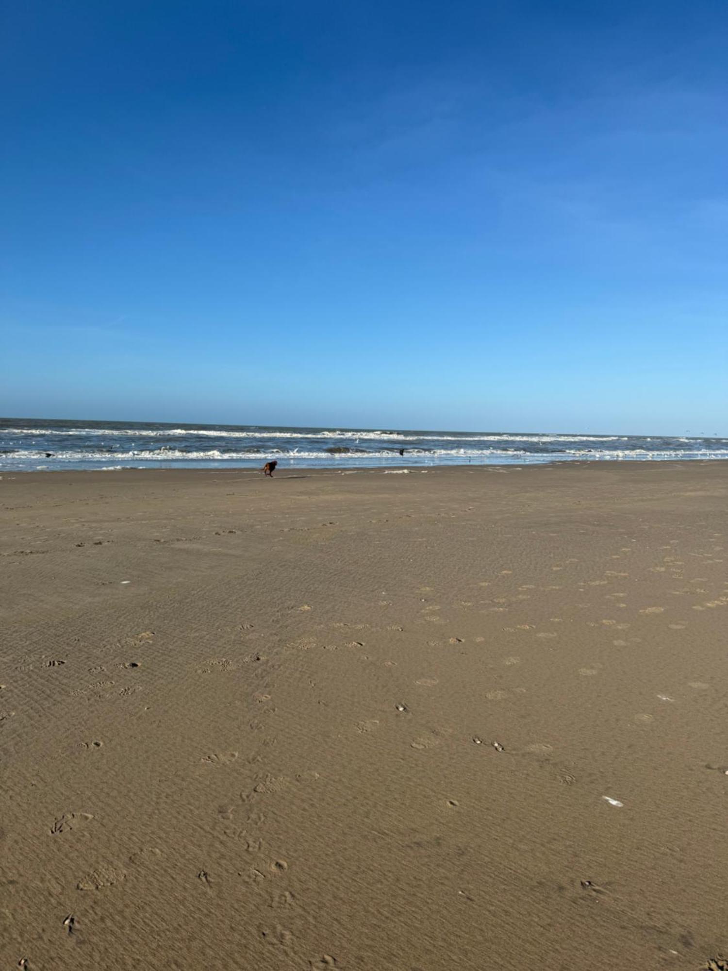 Guesthouse West Noordwijk Exteriör bild